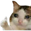 Pelekat