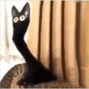 Pelekat
