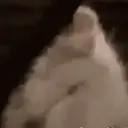 استیکر