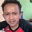 Pelekat