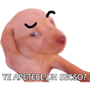 Stika