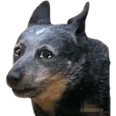 Stika