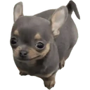 Stika