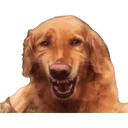 Stika