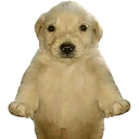 Stika