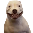 Stika