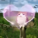 Adhesiu