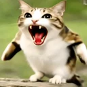 Adhesiu