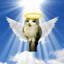 Adhesiu
