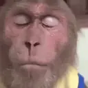 贴纸