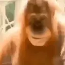 贴纸