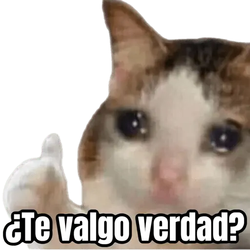 Stika