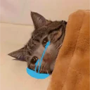 สติกเกอร์