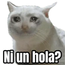 สติกเกอร์