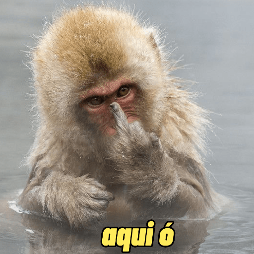 Adhesiu
