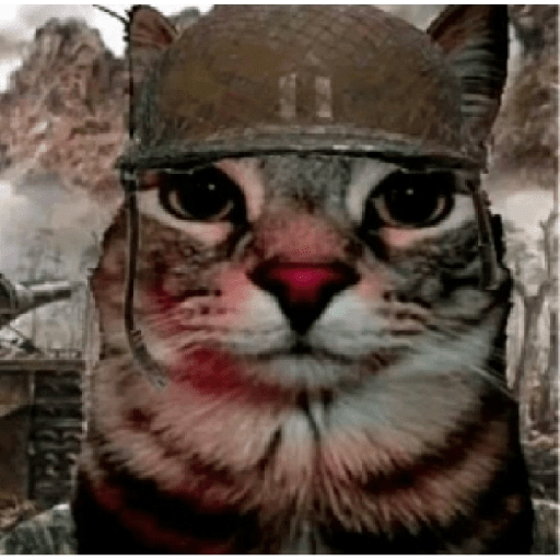Stika