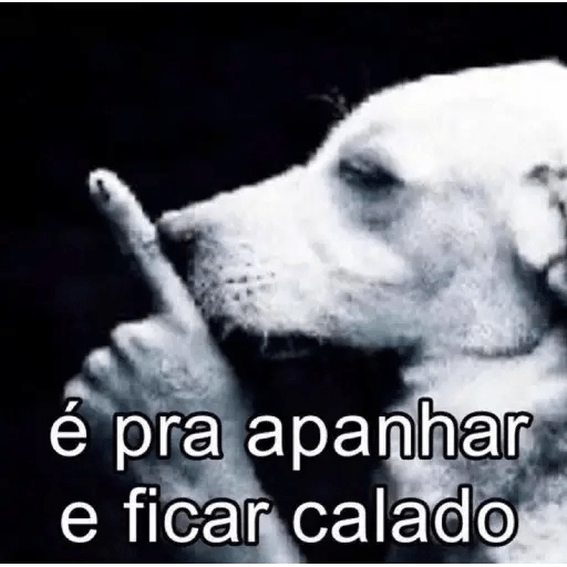 Stika