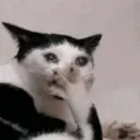 Çıkartma