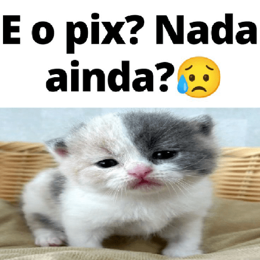 מדבקה