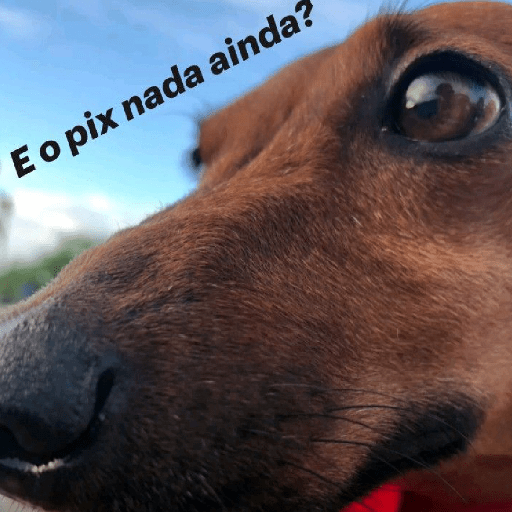 מדבקה