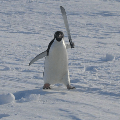 Límmiði