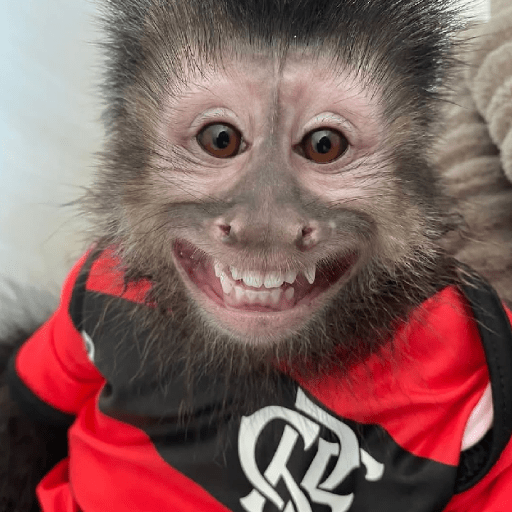 Nhãn dán