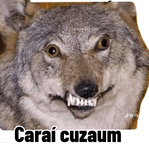 Adhesiu