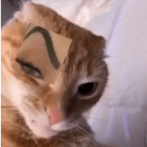 Adhesiu