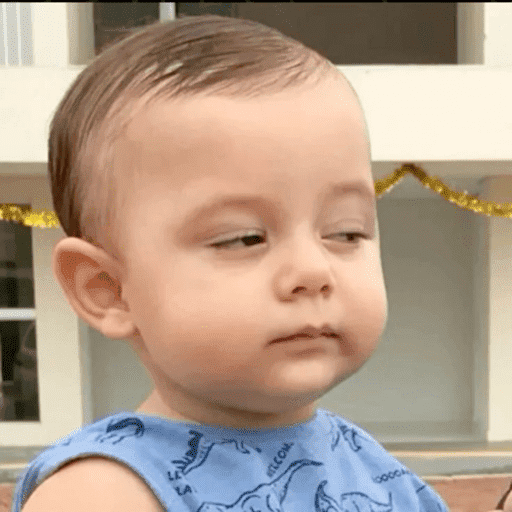 Pelekat