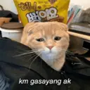 Çıkartma
