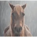 Çıkartma