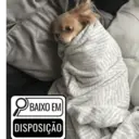 ملصق