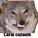 Stika