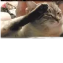 Stika
