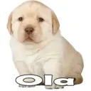 Figurinha