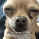 Figurinha