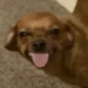 Figurinha