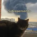 Figurinha