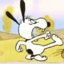 Nhãn dán