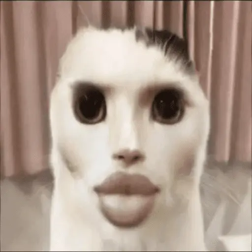Samolepka