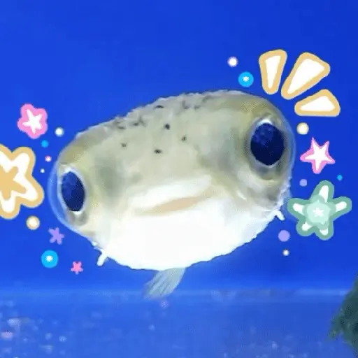 Samolepka
