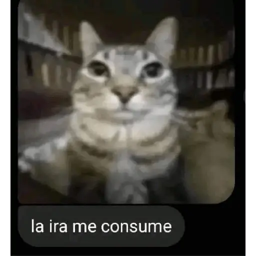 Autocolant