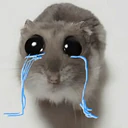 اسٹیکر