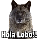 Nhãn dán