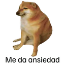 Nhãn dán