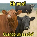Nhãn dán