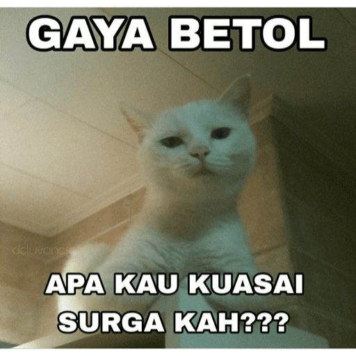 स्टिकर