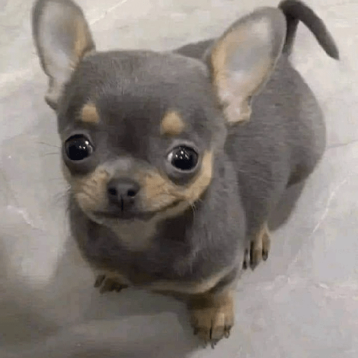 ملصق