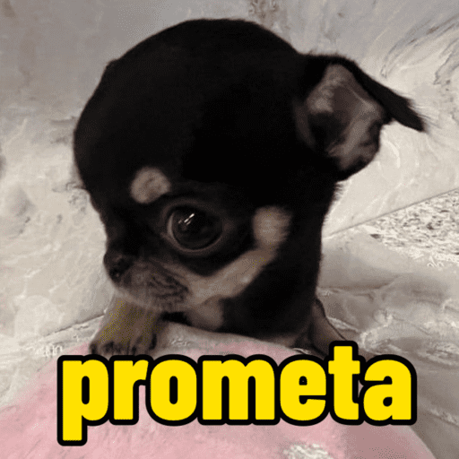 Figurinha