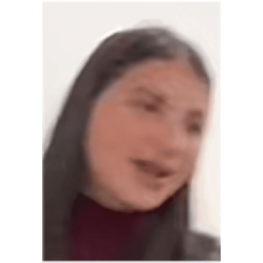 ਸਟਿਕਰ